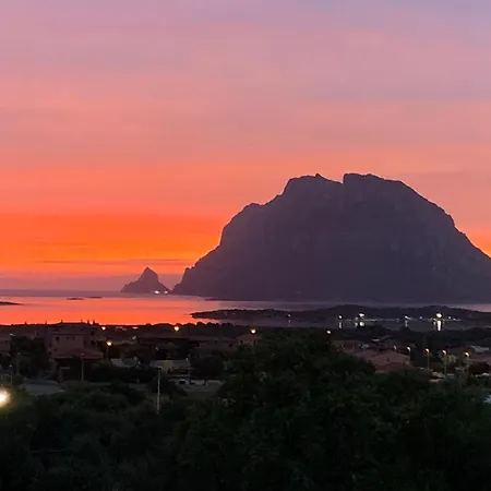 Stile Gallurese * Porto San Paolo (Sardinia)